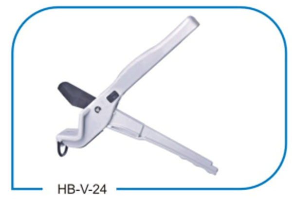 HB V24