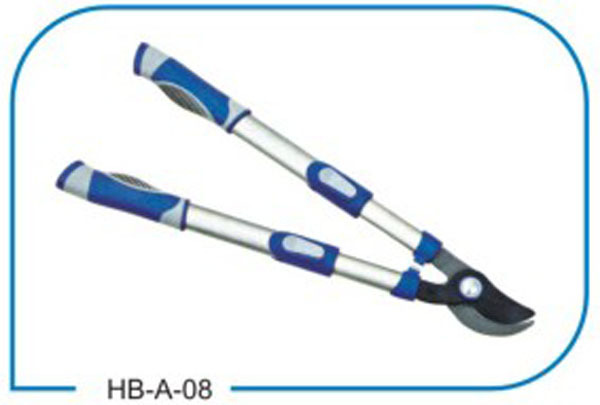 HB A08