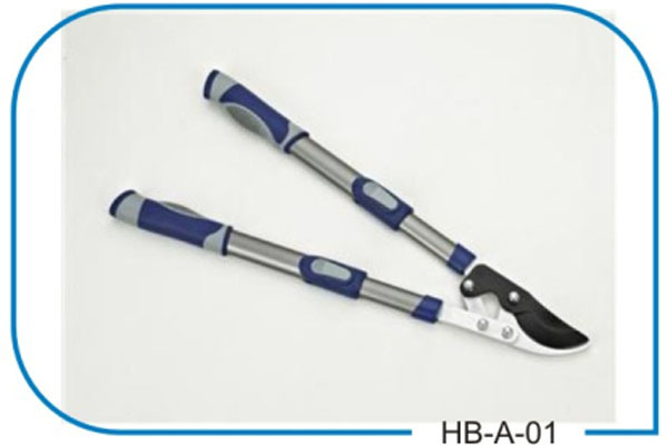 HB A01