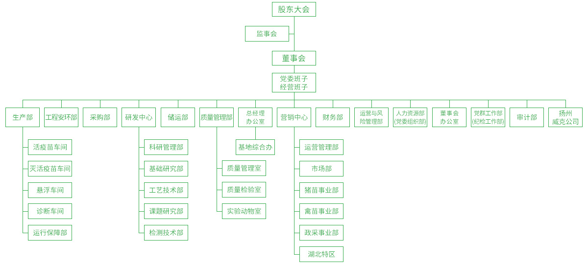 组织架构