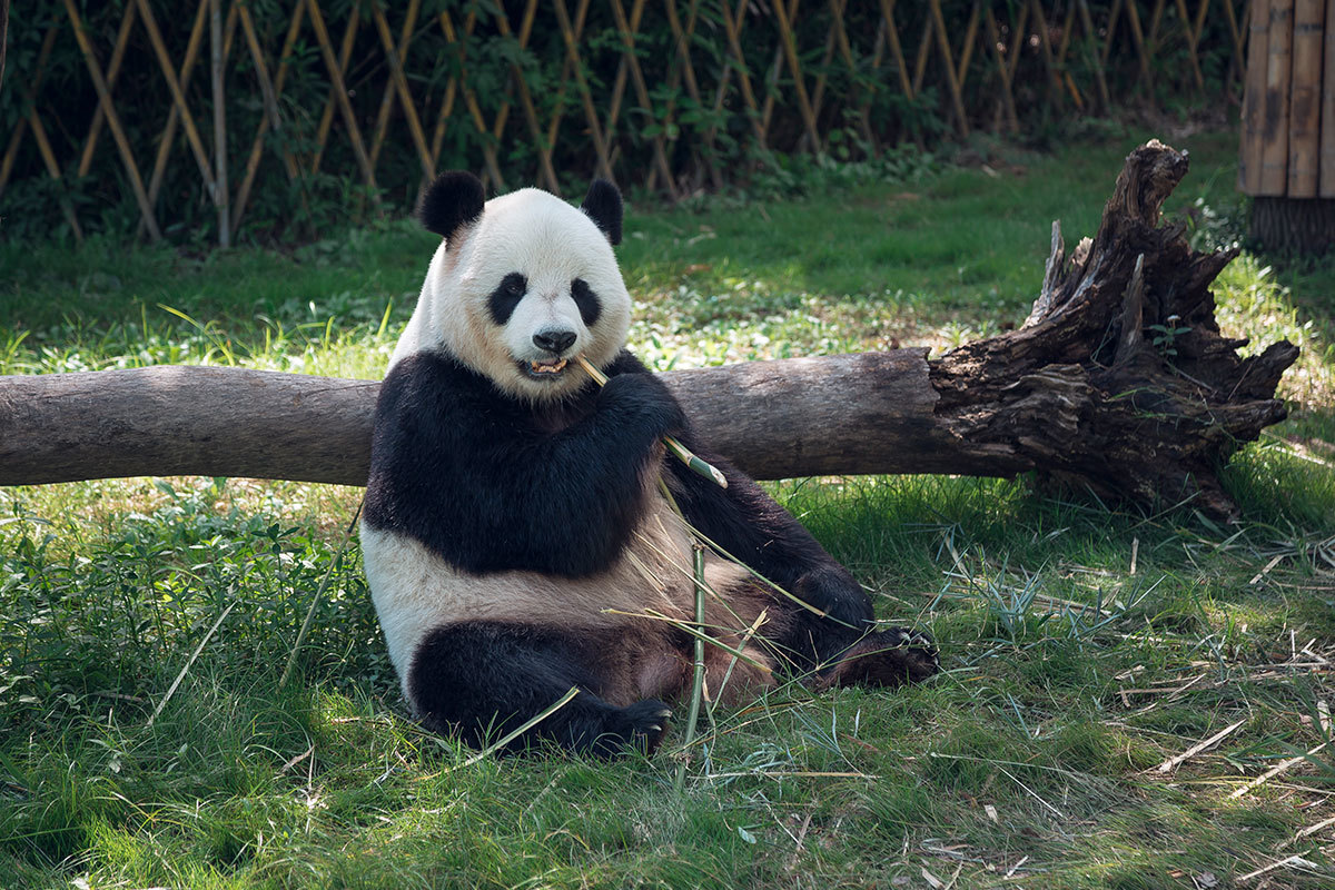 图片名称 图片名称