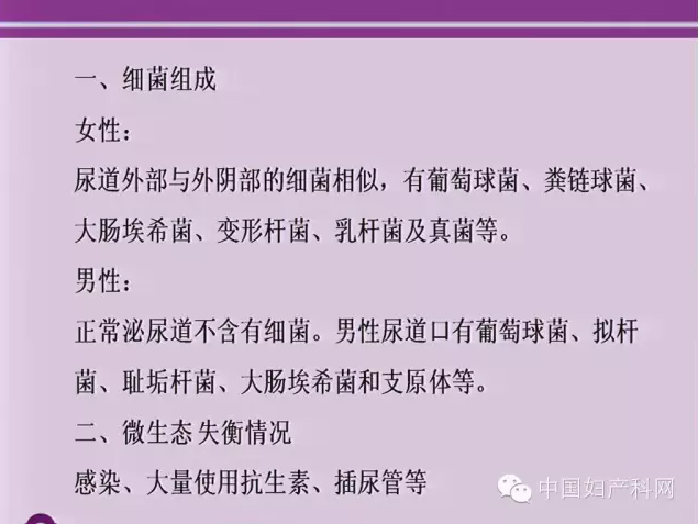 阴道感染诊断治疗思路的新突破