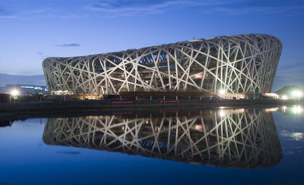 The bird's nest The bird's nest