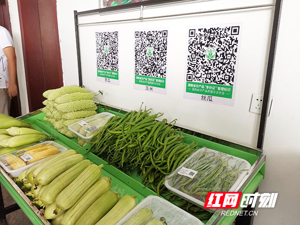金陽投資