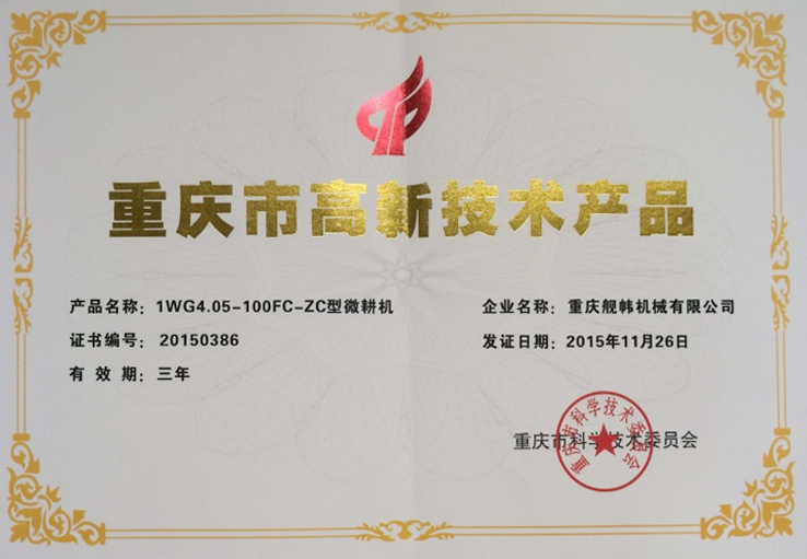 Chongqing high tech products 1wg4.05-100FC-ZC