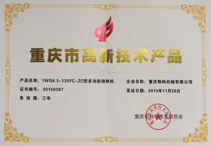 Chongqing hi tech products 1wg6.3-135FC-ZC