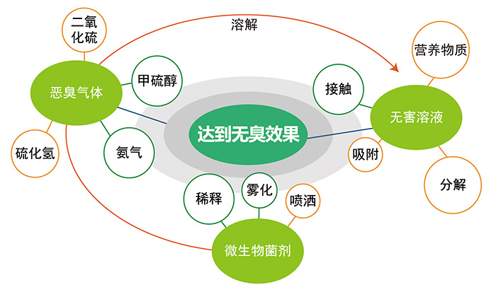 SEM環保微生物菌劑