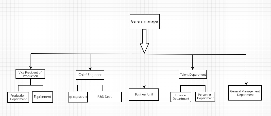 Company structure