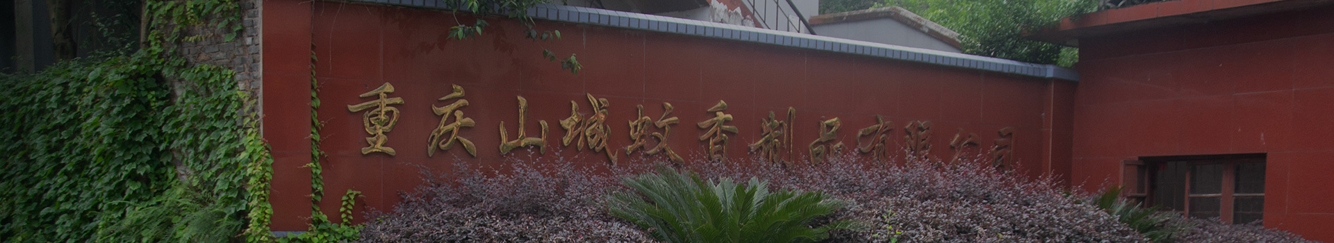 關(guān)於我們