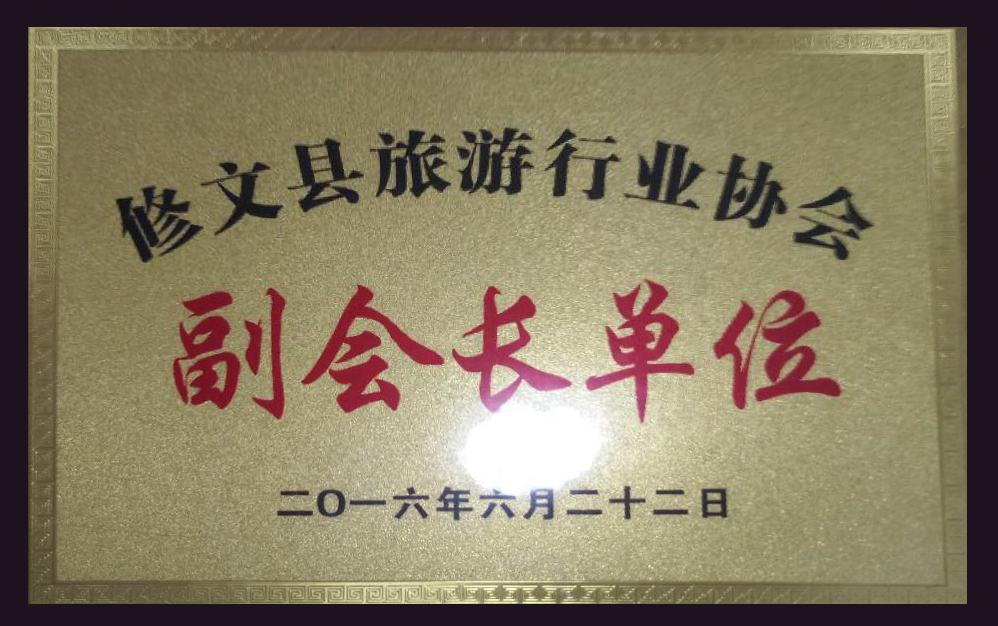 副会长单位