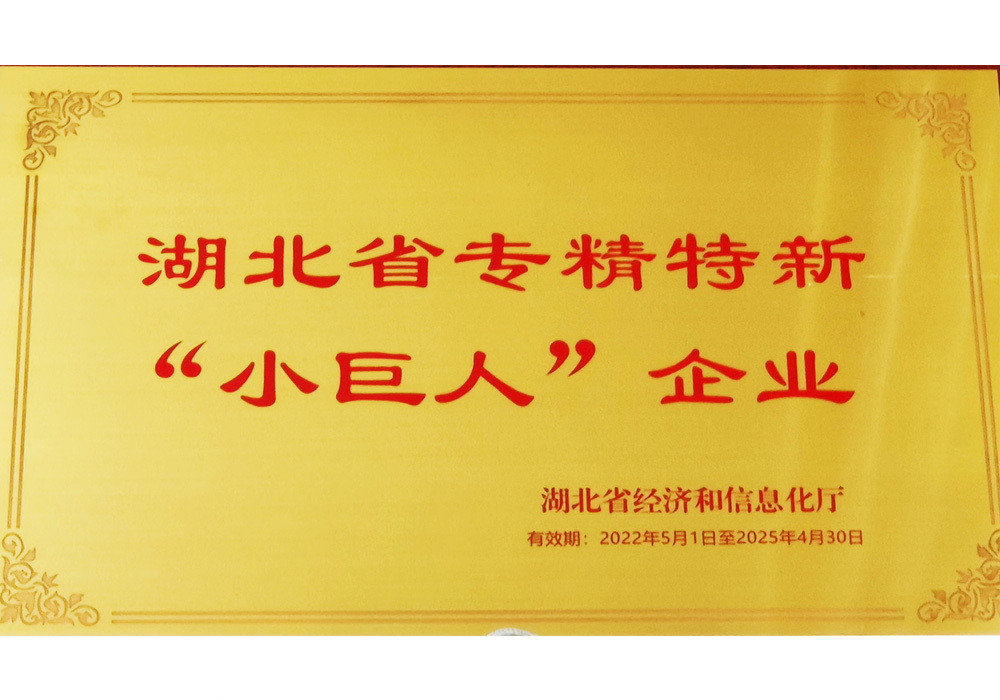 湖北省專精特新”小巨人“企業(yè)
