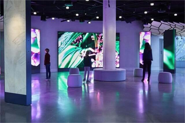 Besuchererlebnis auf der Unterstory Exhibition von Amazon