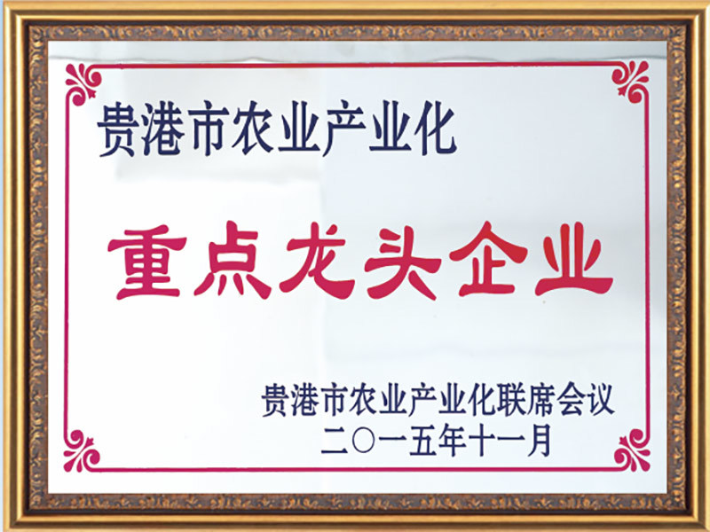 重点龙头企业