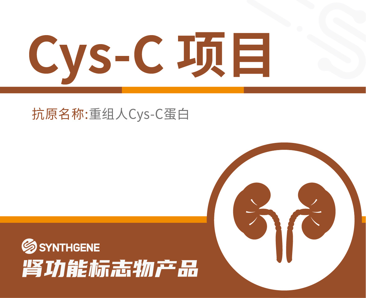 Cys-C项目