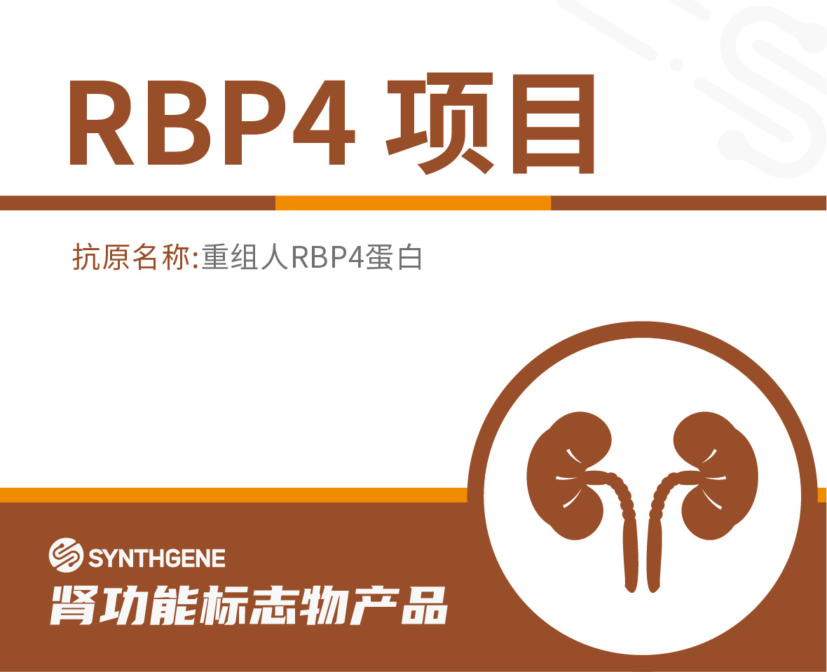 RBP4项目