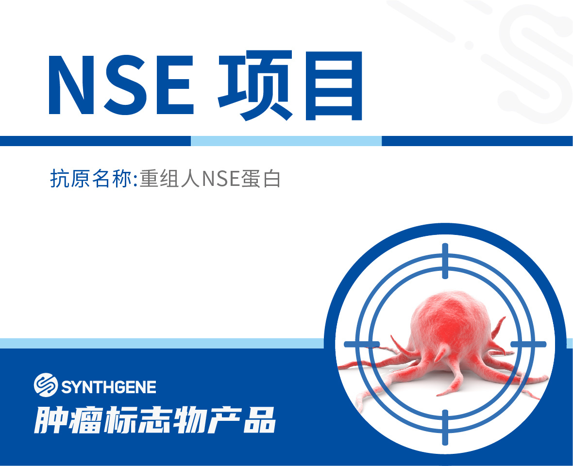 NSE项目