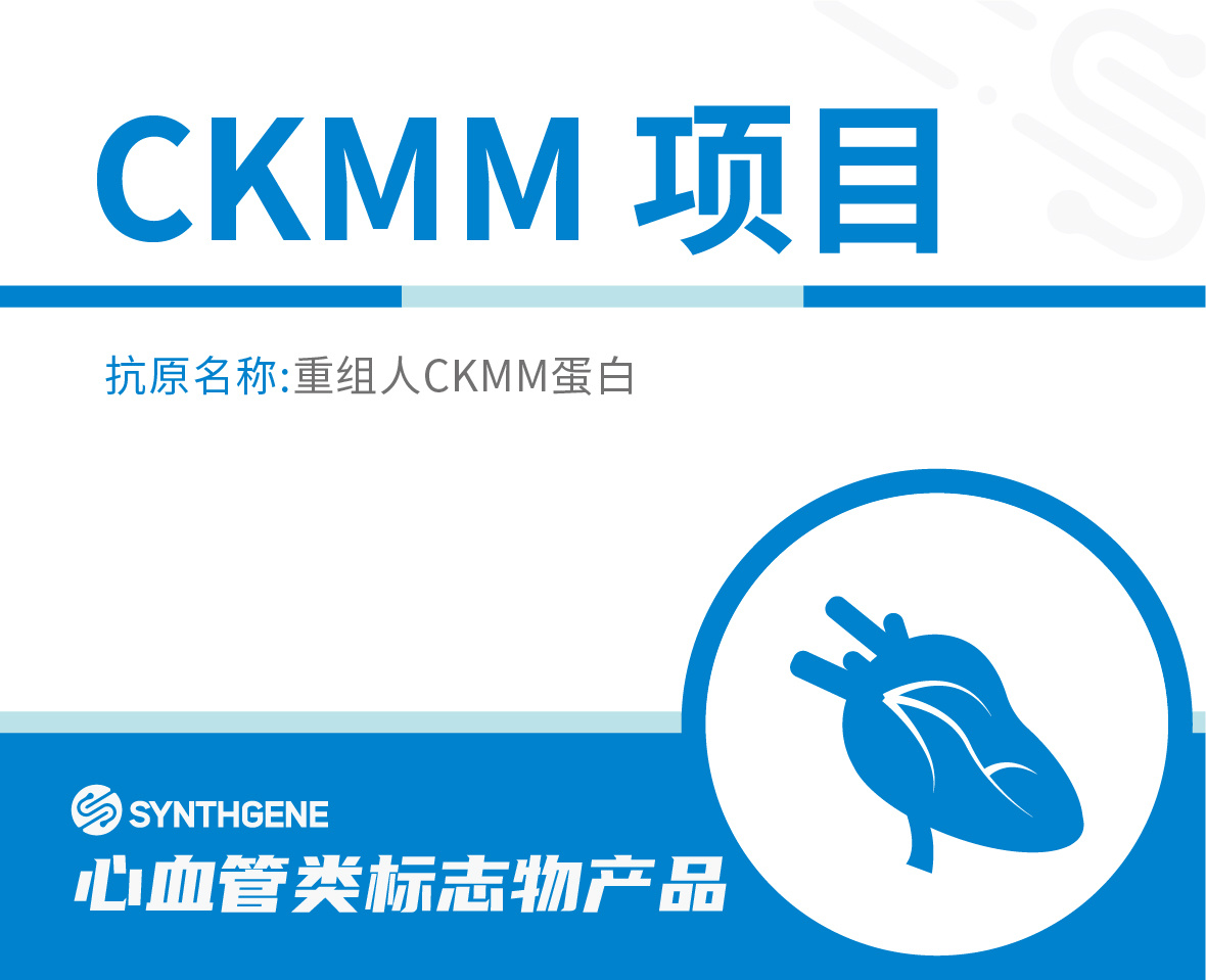 CKMM项目