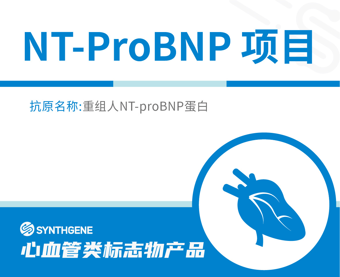 NT-ProBNP项目