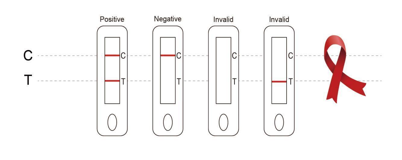 人类免疫缺陷病毒(HIV1/2)抗体检测试剂盒（胶体金法）