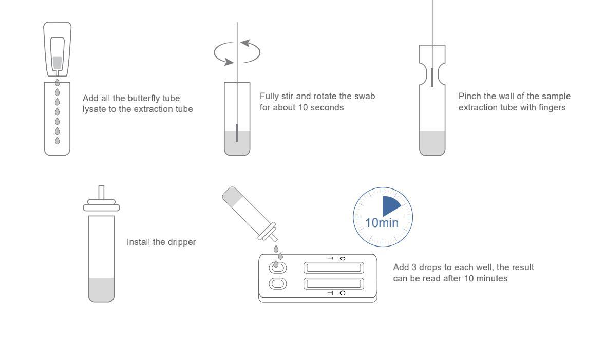 SARS-CoV-2 / Tuberculosis Antigen Combo Rapid Test Kit (Colloidal gold method)