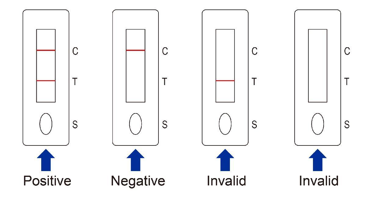 江苏申基生物科技有限公司