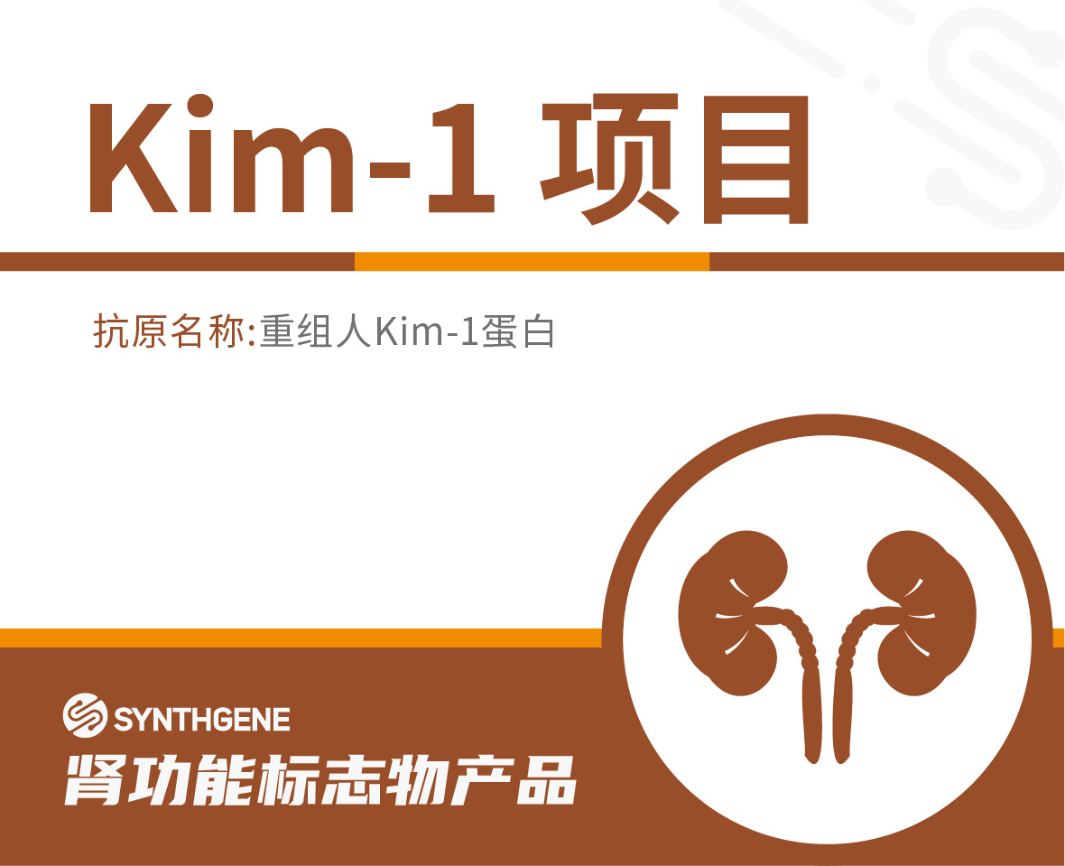 Kim-1项目