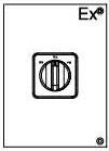 zhongxing