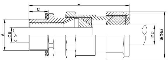 zhongxing
