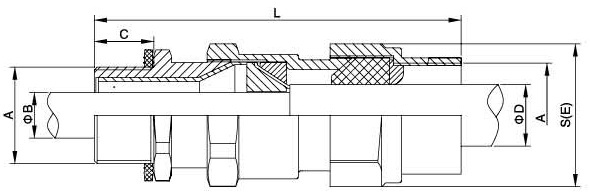 zhongxing
