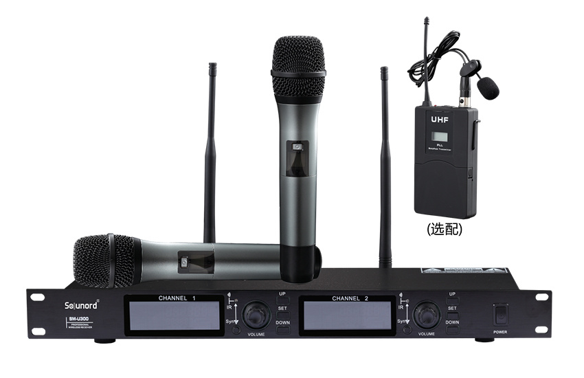 SM-U300 U-section one-to-two wireless microphone