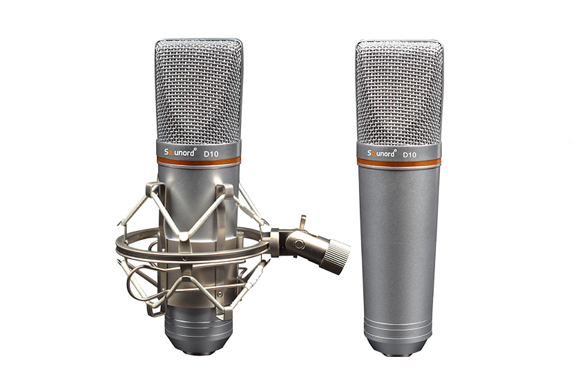 D10 large diaphragm chorus microphone
