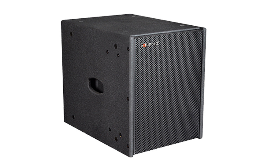X110D single 10 inch low speaker