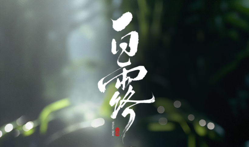 白露丨白露为霜 仲秋微凉