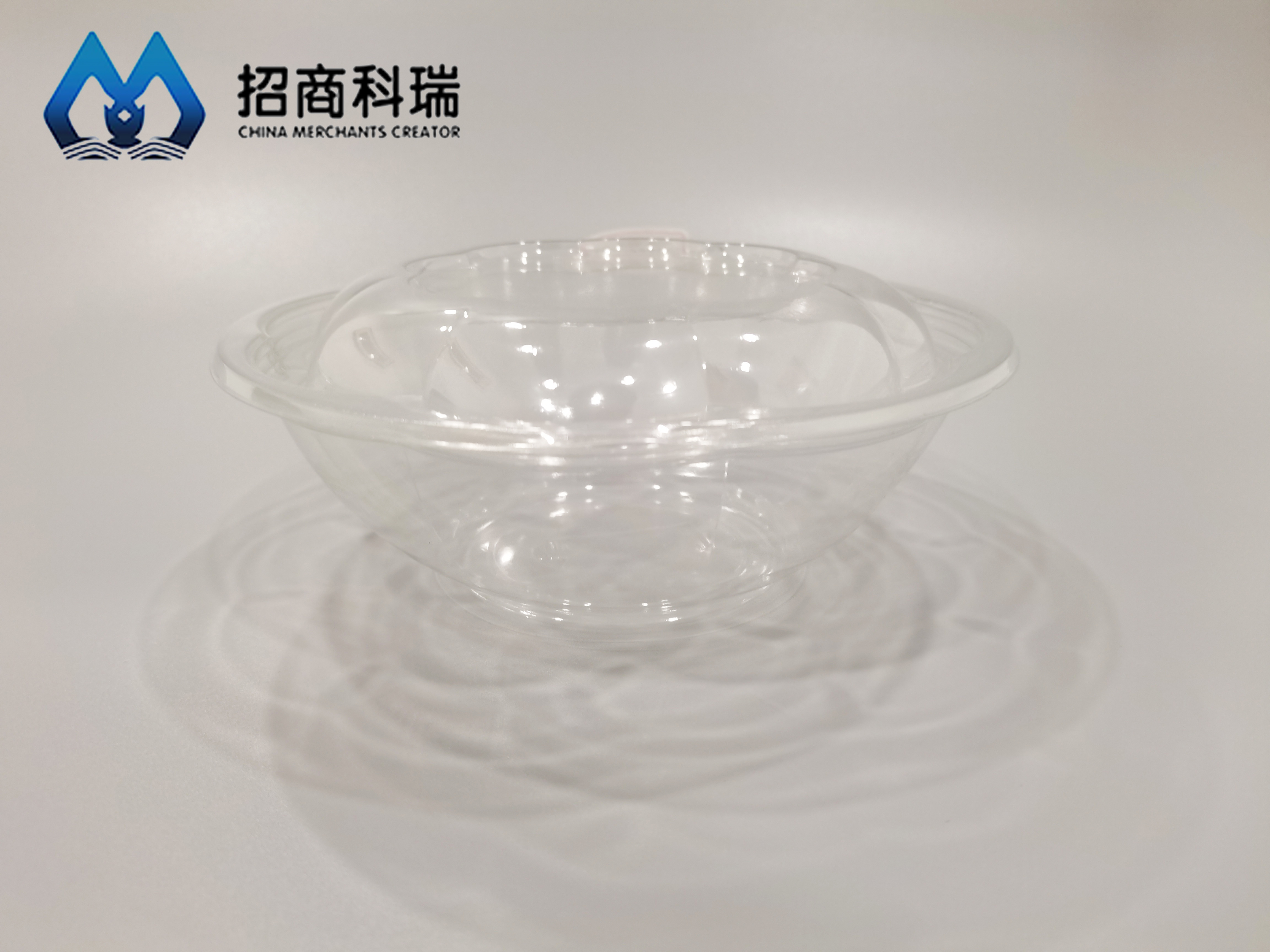 SB-24 Salad Bowl