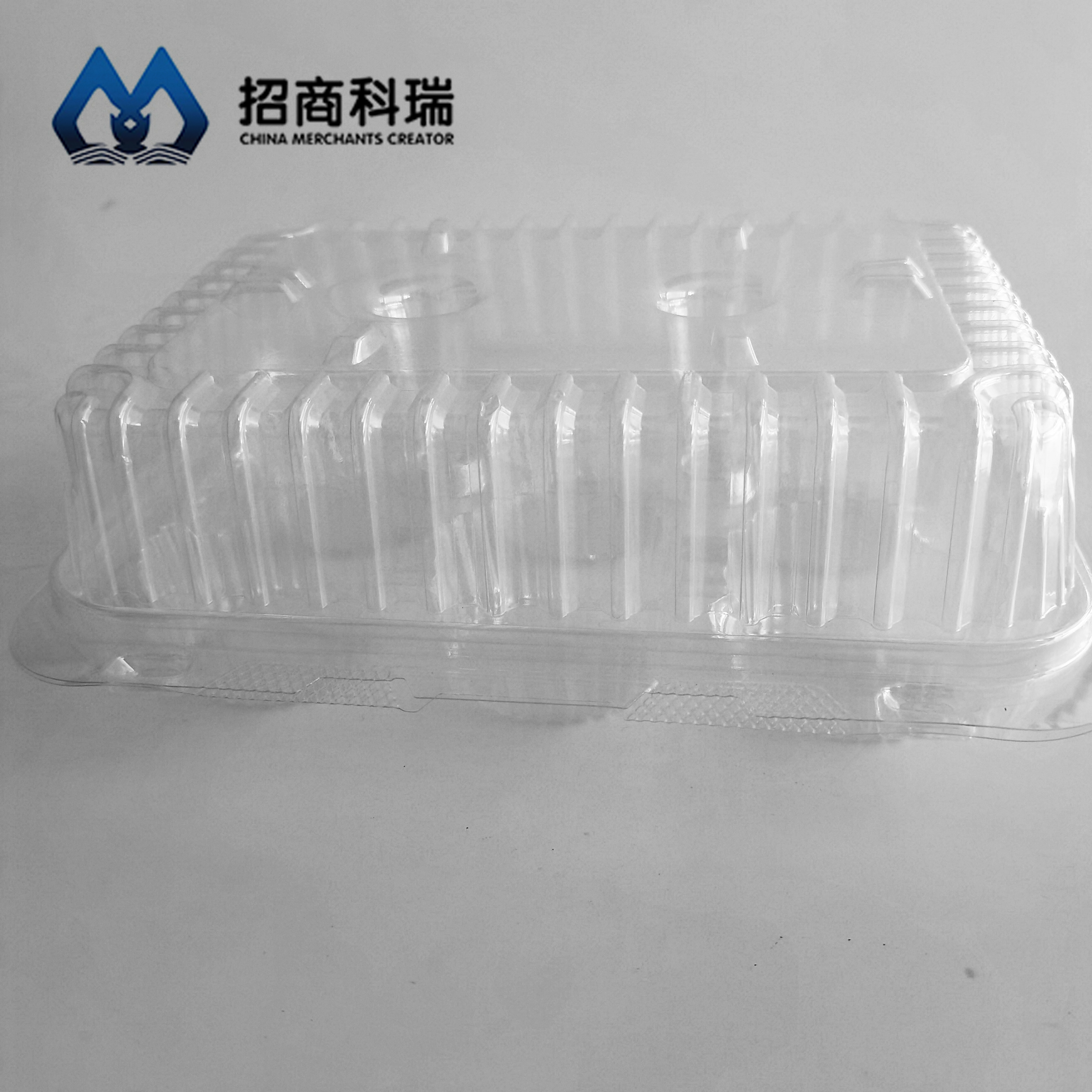 6-compartment Cake Box