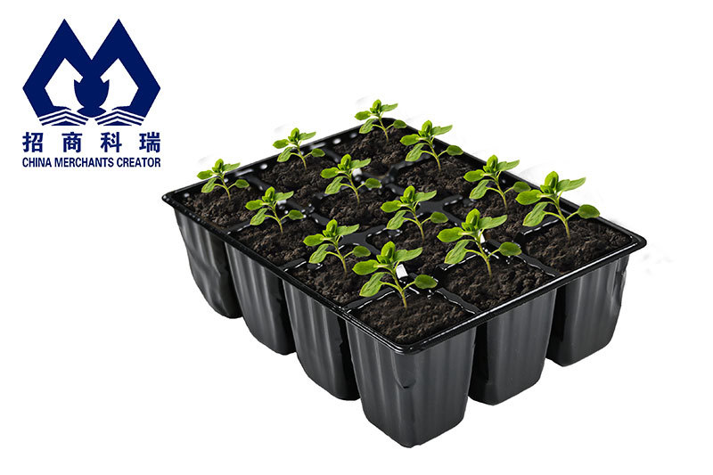 12- Compartment Plastic Nursery Tray