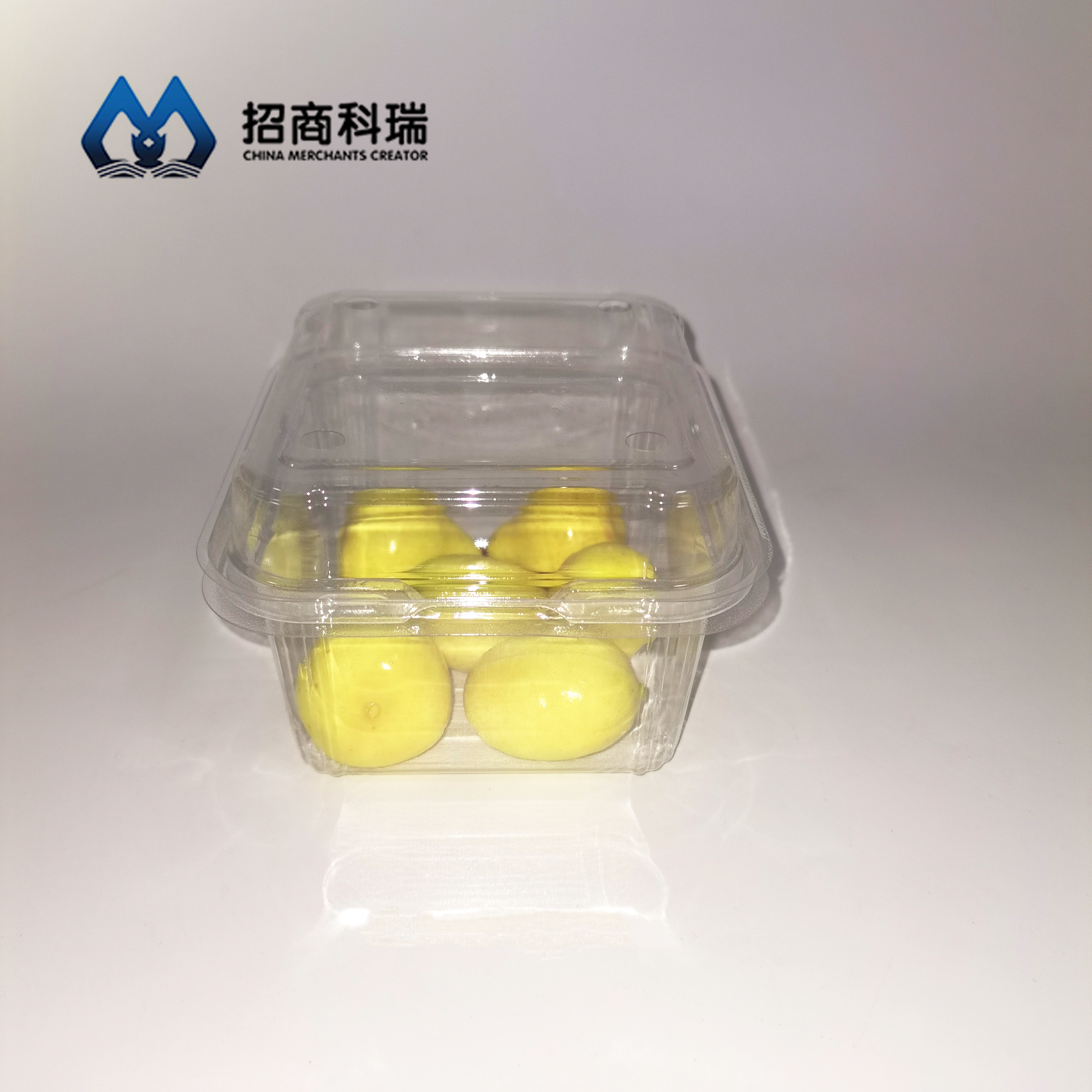 250g Fruit Box