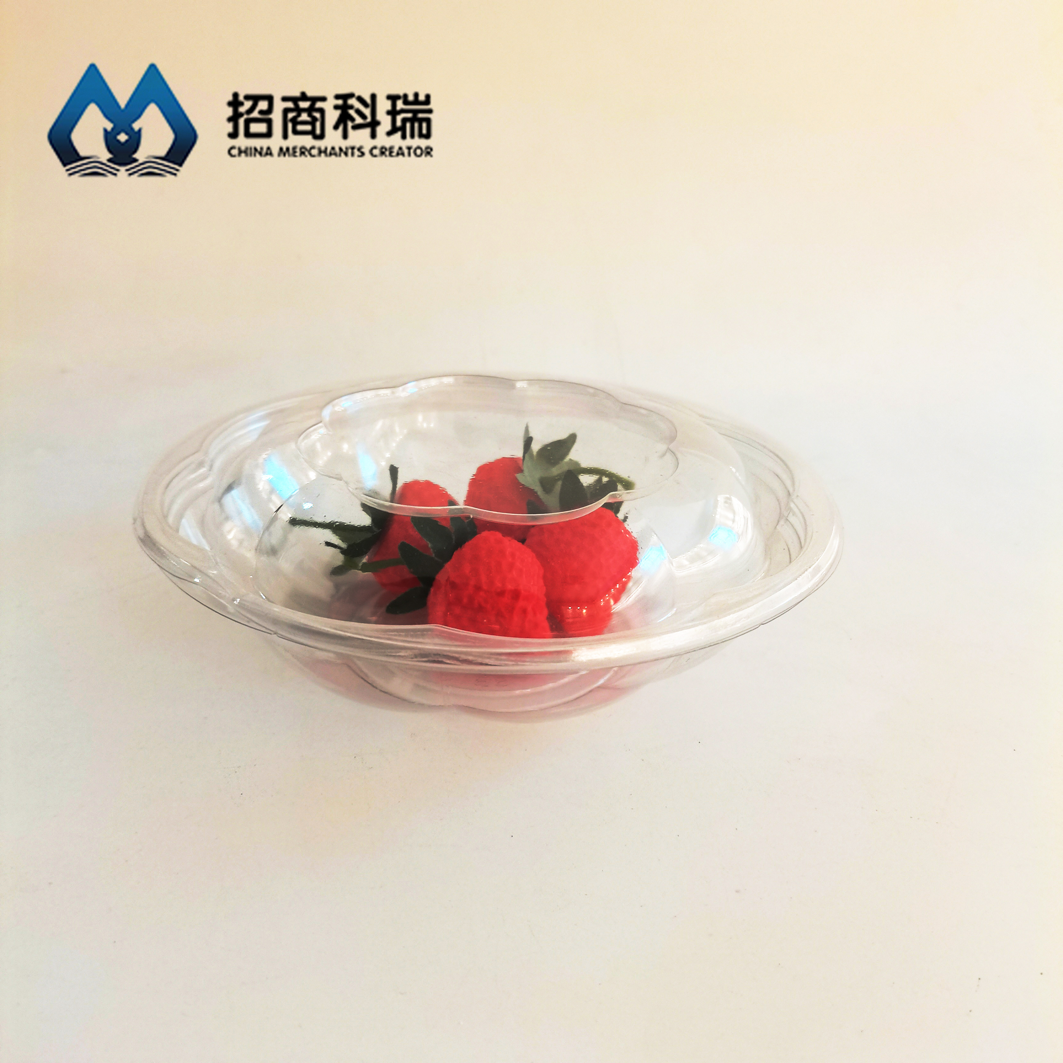 SB-18 Plastic Salad Bowl