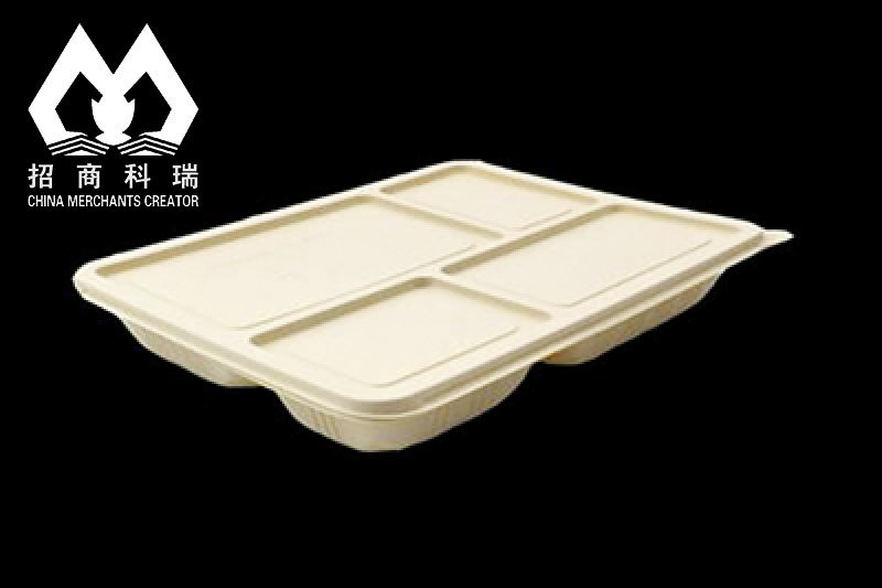 Biodegradable Food Box