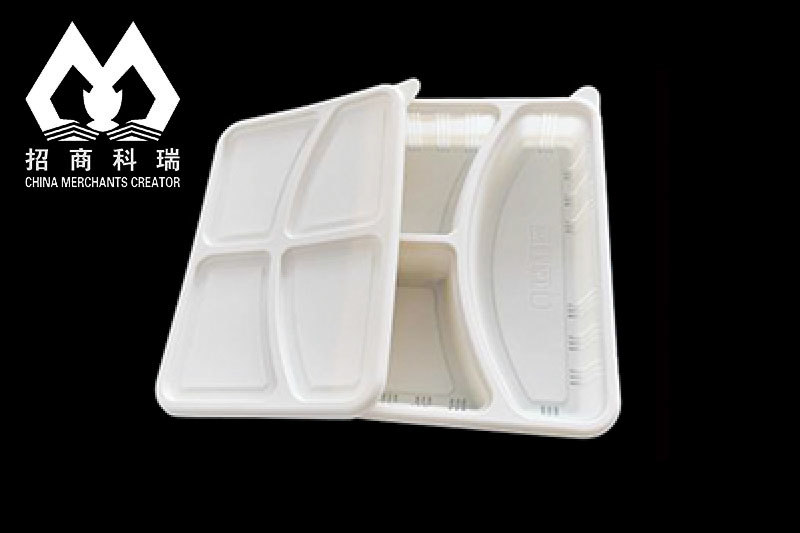 Biodegradable Food Box