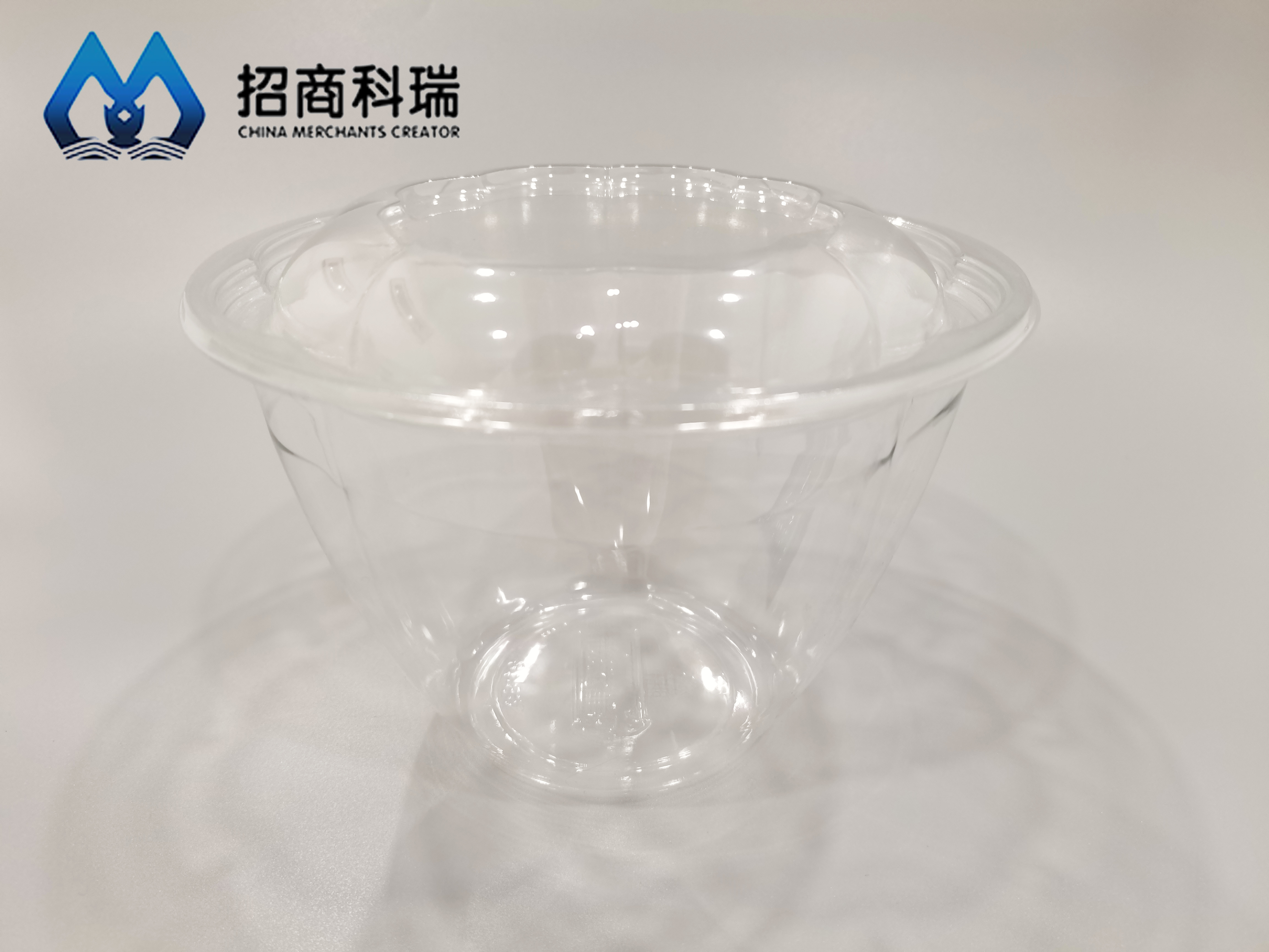 SB-48 Salad Bowl