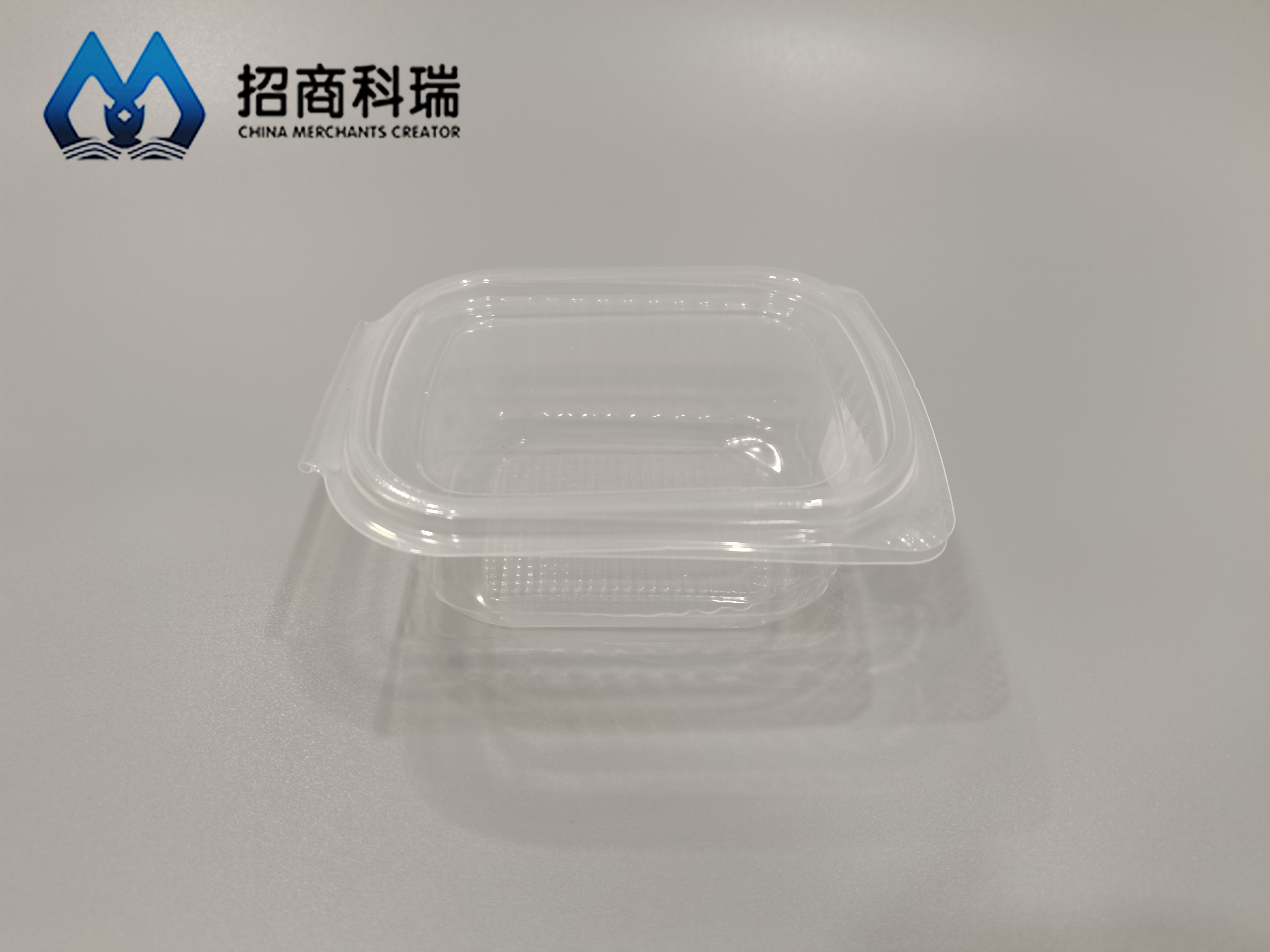 4*250 Salad Box