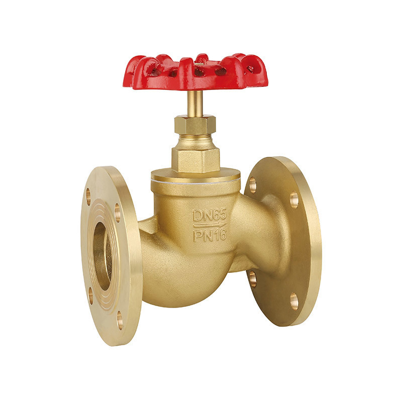 Flanged globe valve