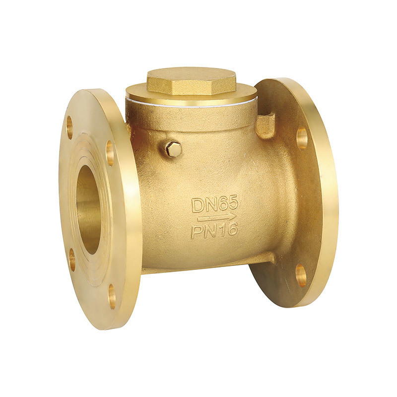 Flanged check valve