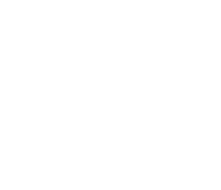 Exhaust valve series