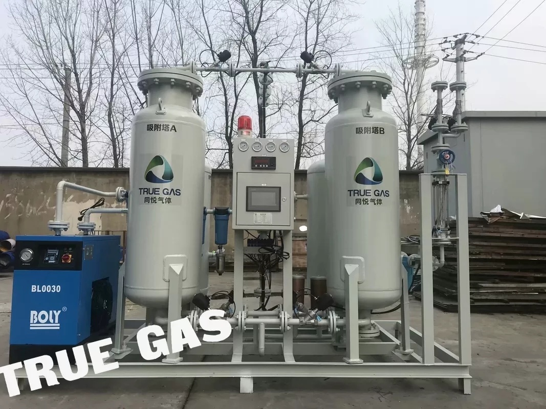 	 customized Pressure Swing Adsorption N2 SUS PSA Nitrogen Gas Generator price(s) china
