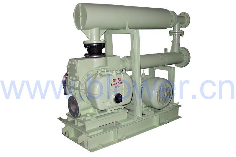 Roots Vacuum Pump supplier china