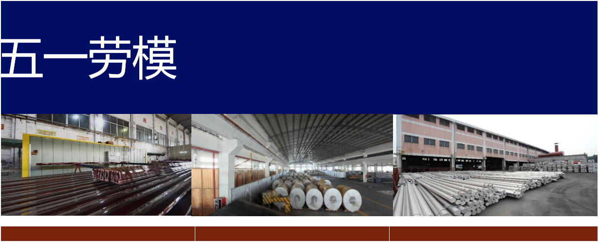 South China Copper and Aluminum Industry