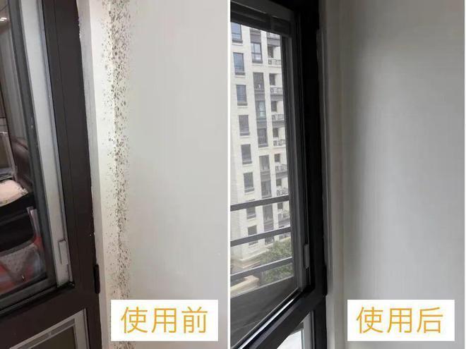 以前不明白，油漆和涂料“随意选择”！其实应该早点做，买的越贵，存的钱就越多