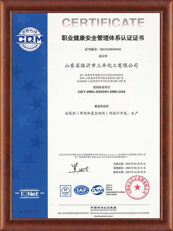 Occupational Health and Safety Management System Occupational Health and Safety Management System